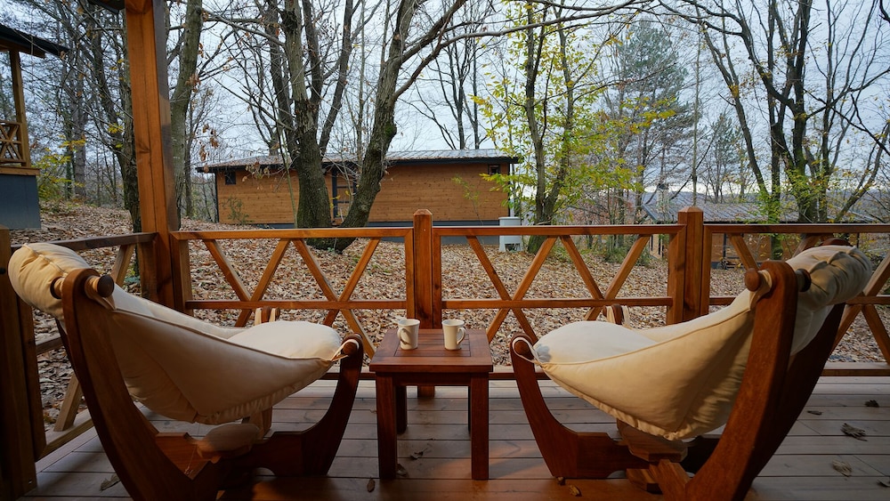 Šuma Disanje Hotel view 3