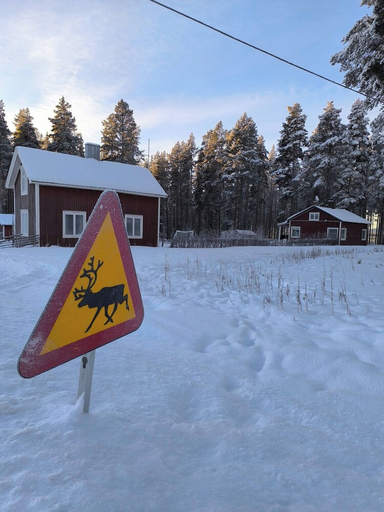 Lapland Pure Nature and More!