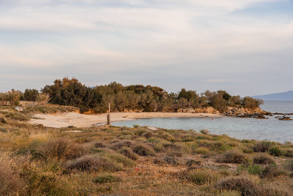 291472 - Villa Nausicaa Kastraki Naxos