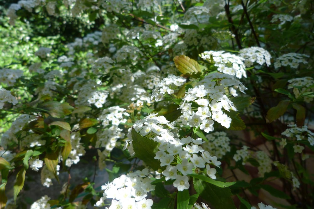 Simge Pansiyon - Image 17