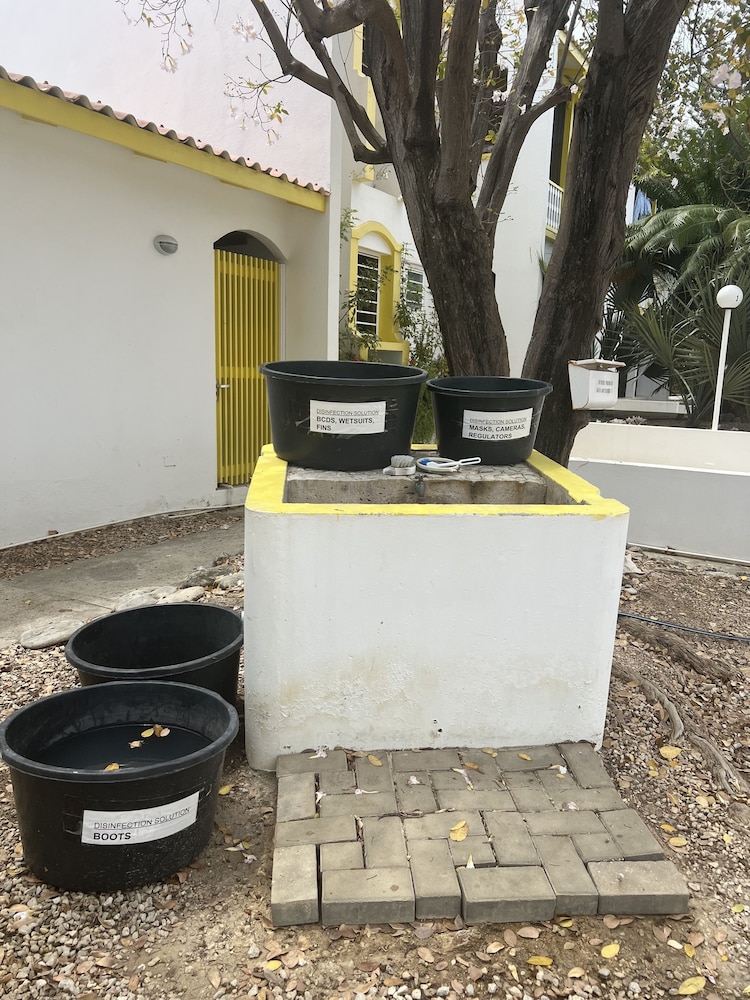 Divers Paradise Bonaire