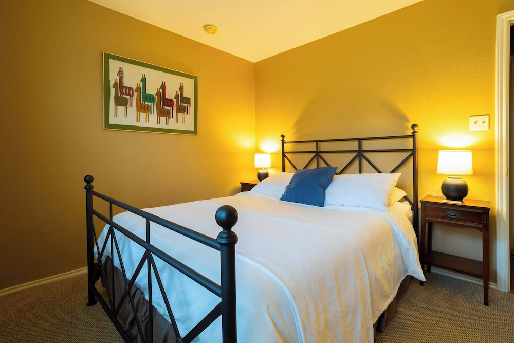 Stargazers Delight Sleeps 12!
