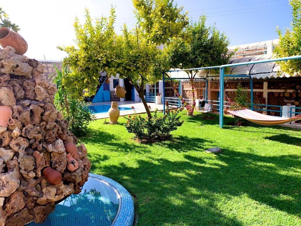 Photo 12