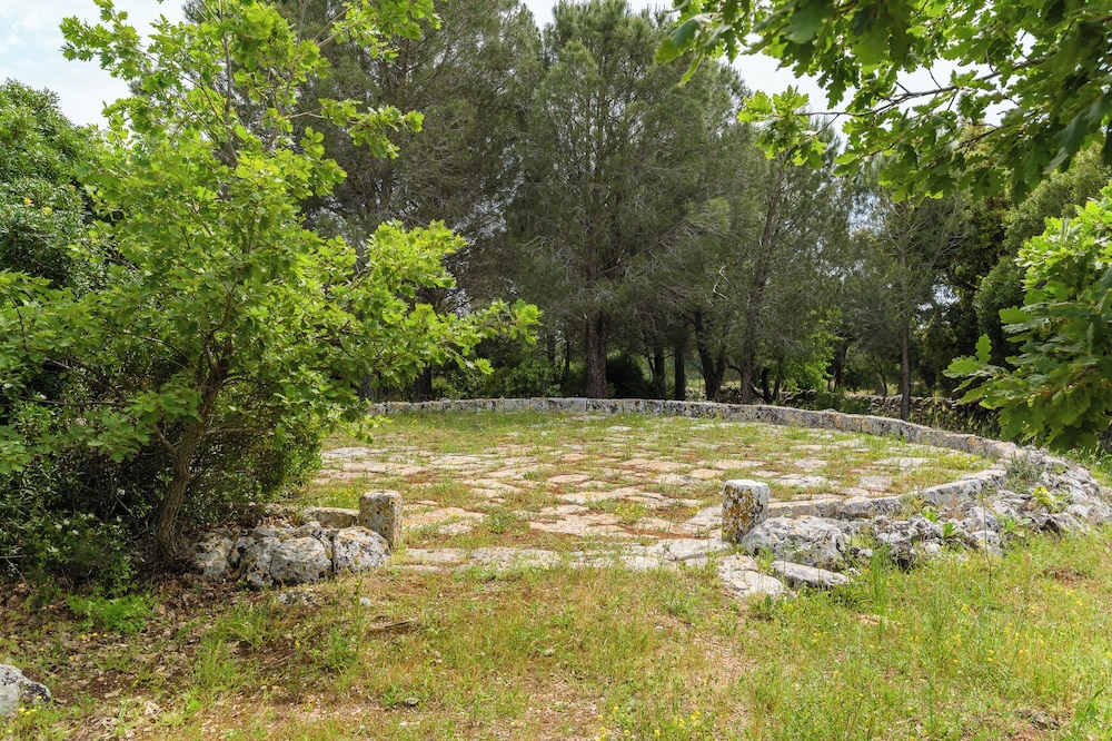 Photo 8
