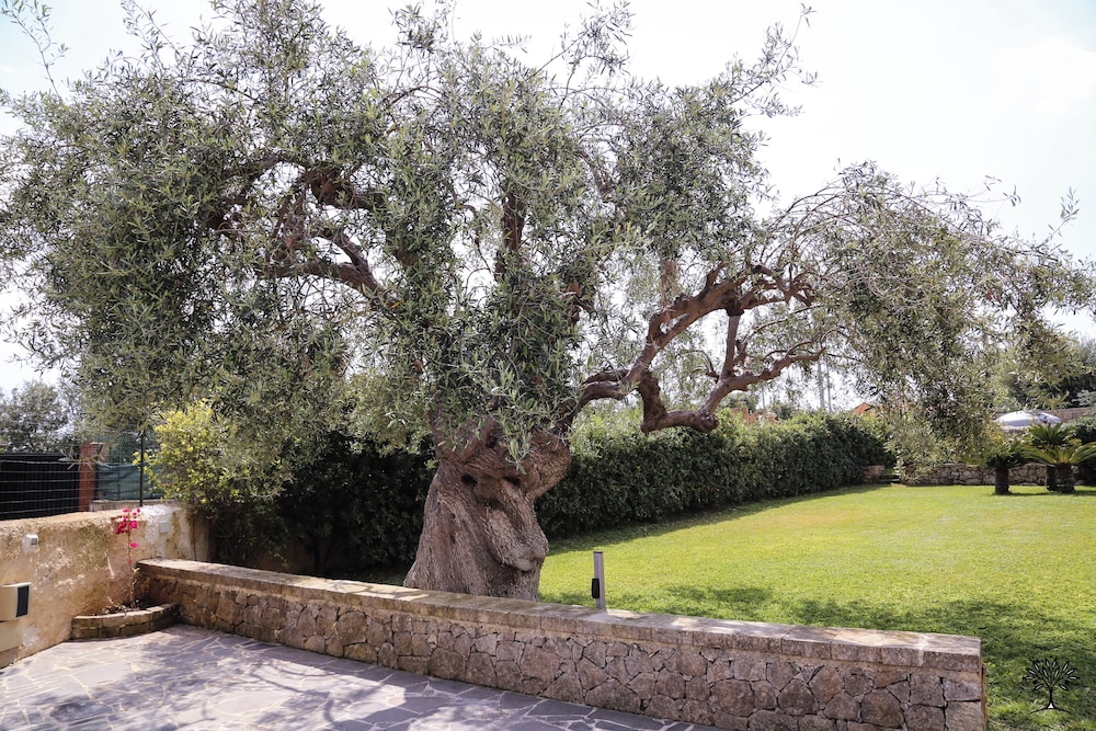 Radici Sicilian Holiday Home An Oasis of Relaxation in the Heart of Sicily