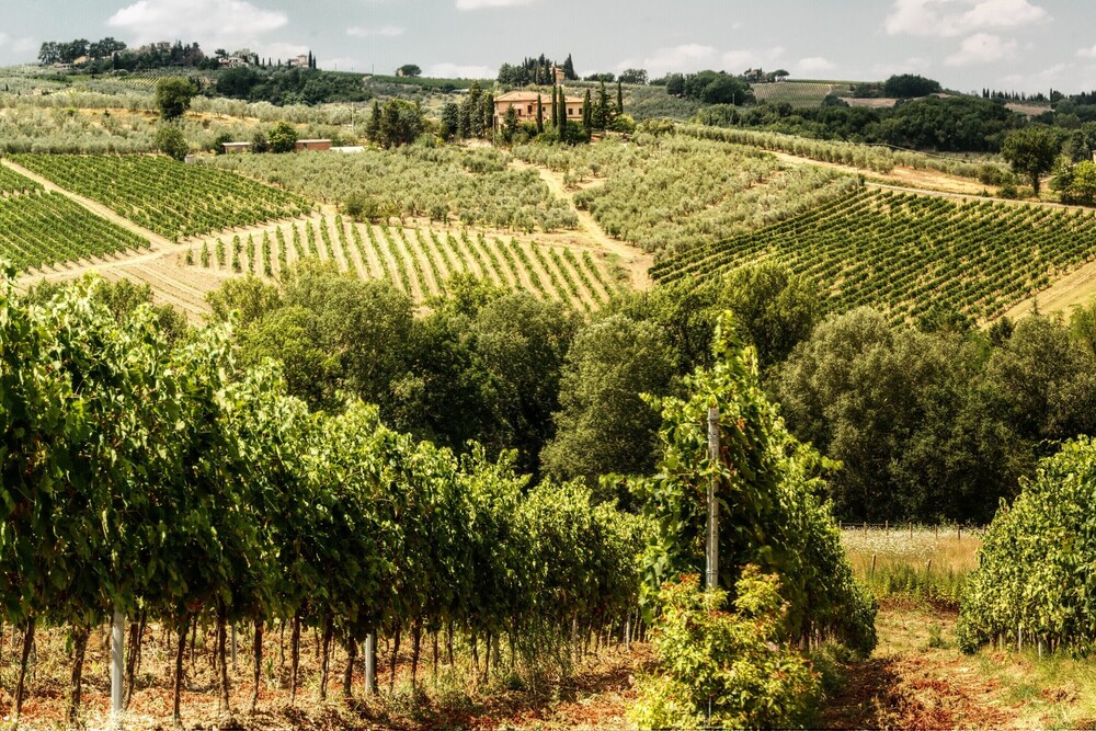 Home Boccaccio Terrace and Chianti View 1
