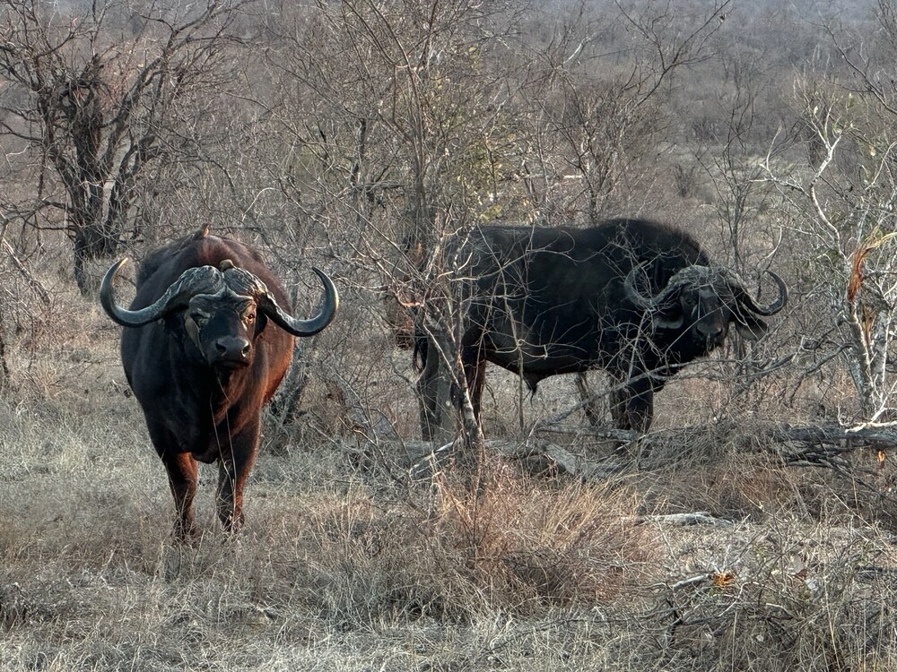 Timbila Game Lodge