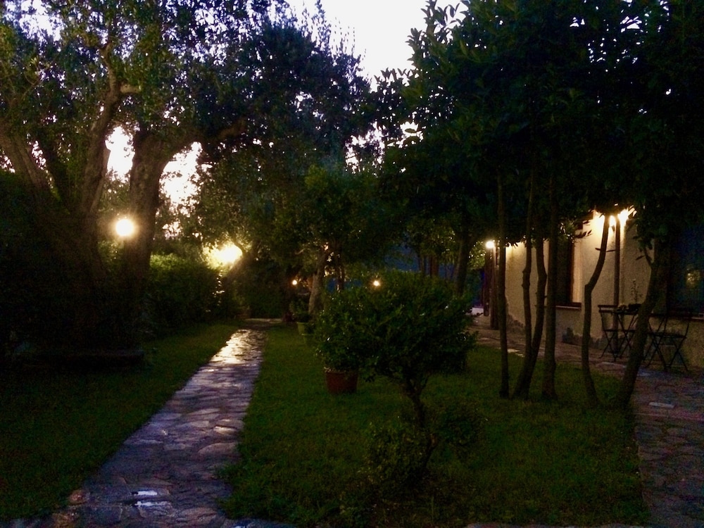 Photo 26