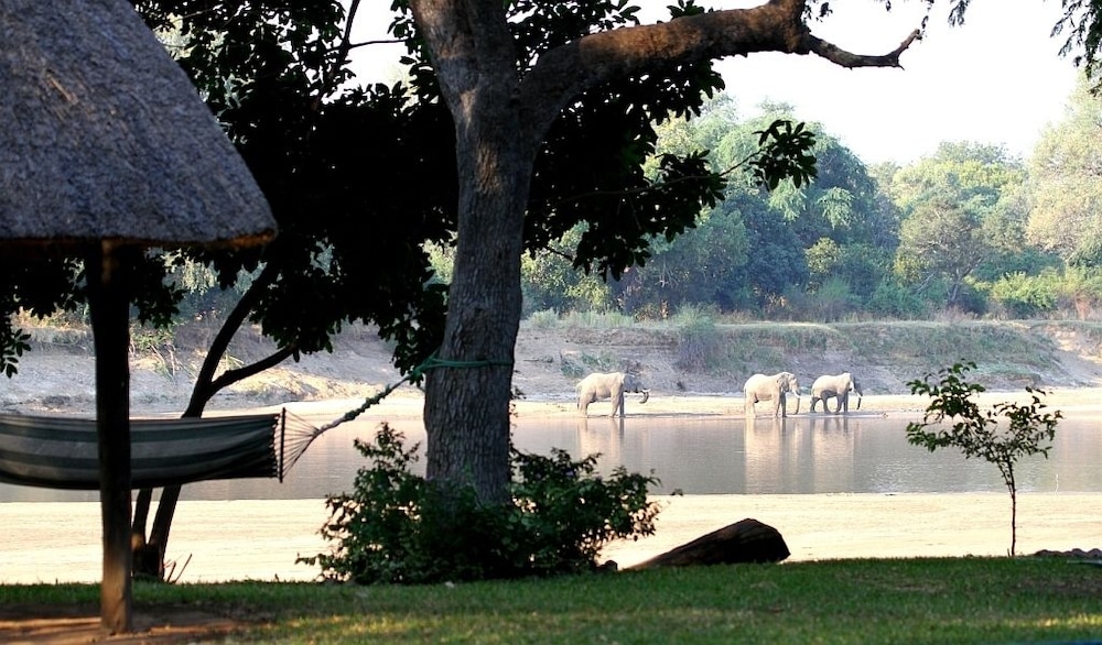 Croc Valley Camp