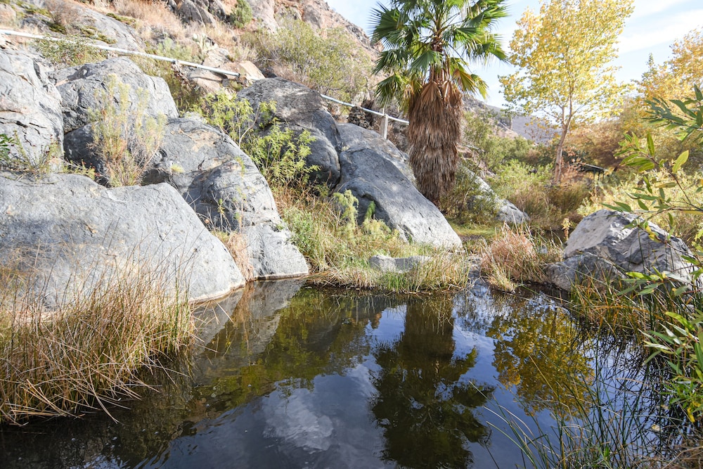 Ensenada Vacations - Rancho San Carlos Aguas Termales - Property Image 116