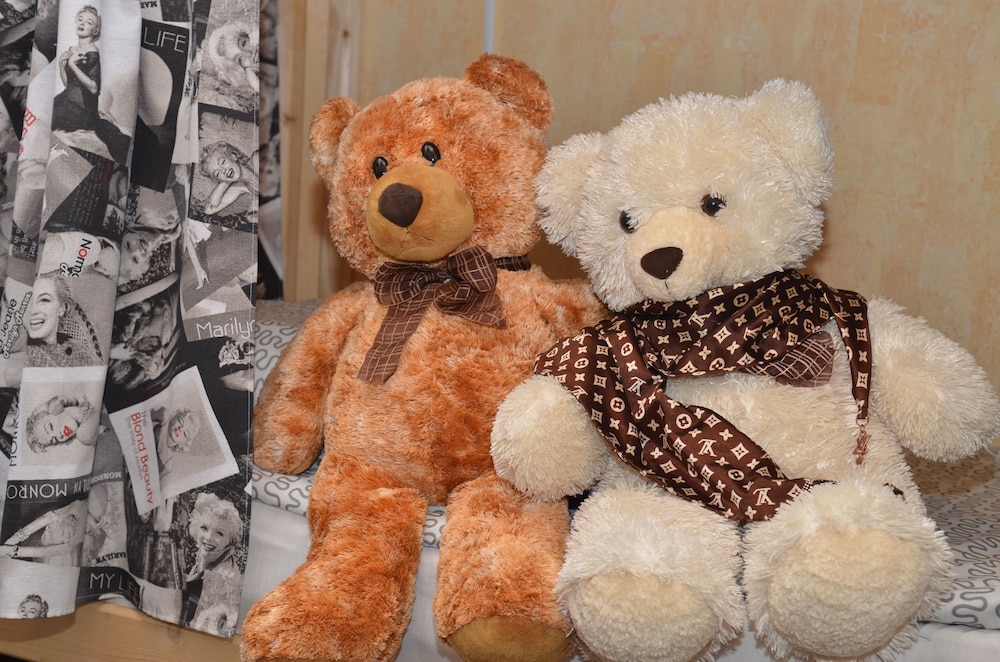 Teddy Hostel