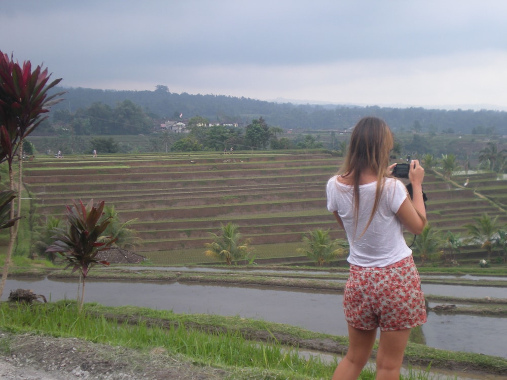Tepi Sawah Lodge