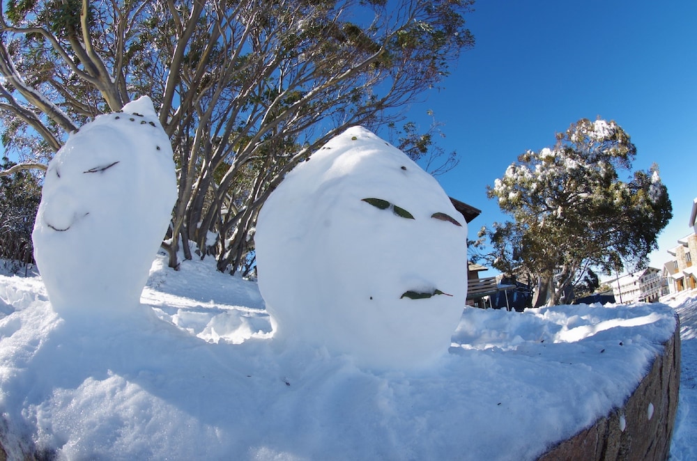 Alpine Retreat Mt Buller