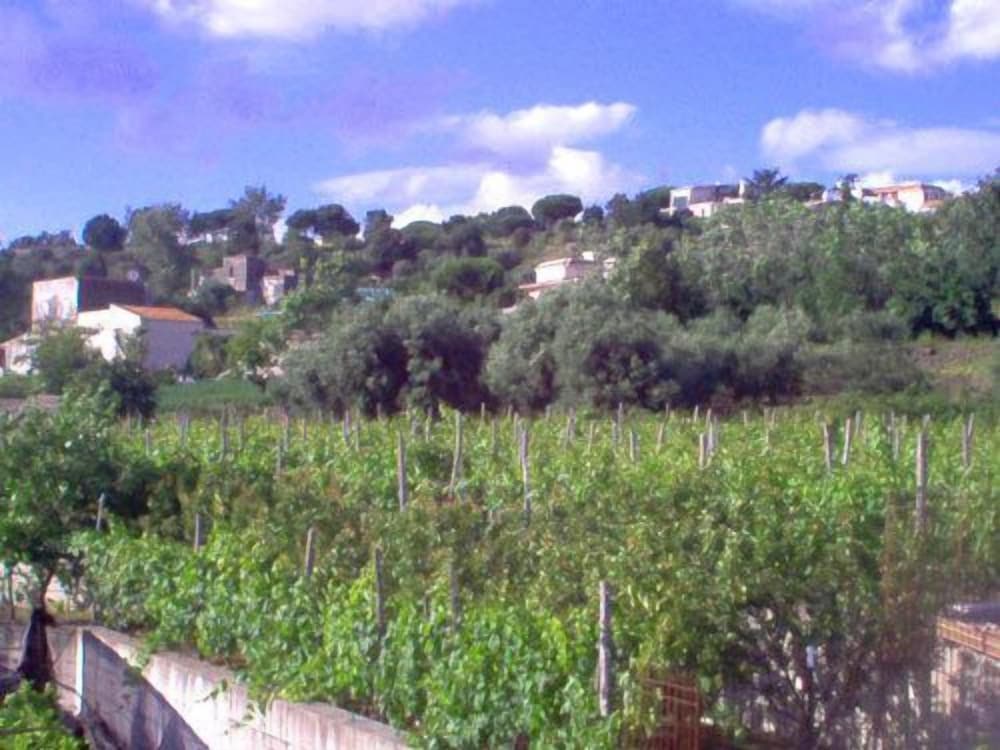Azienda Agricola Fuocomuorto