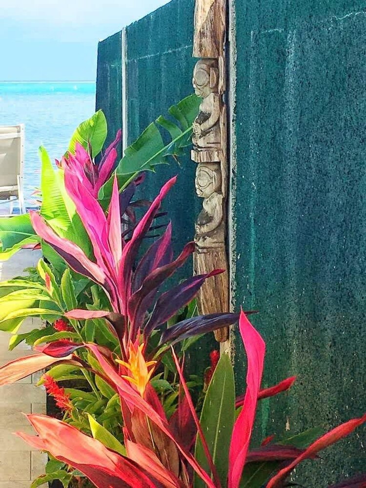 Le Ficus Grande Villa Bord de mer Avec Piscine