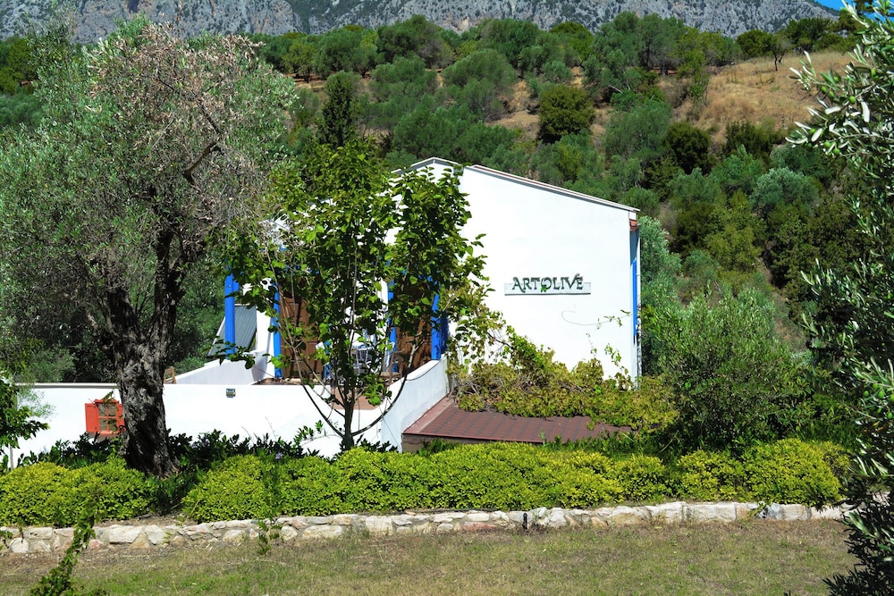 Artolive Datca
