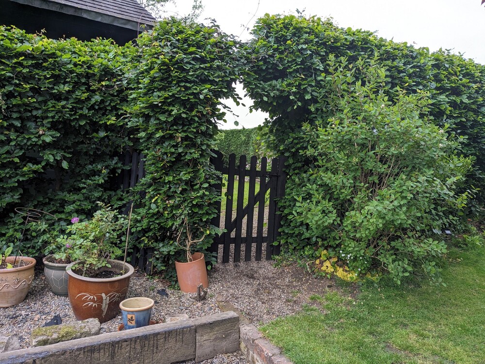 Photo 19