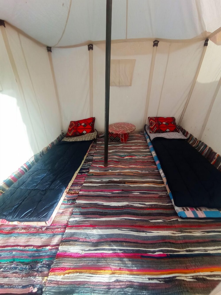 Flamingo Camp