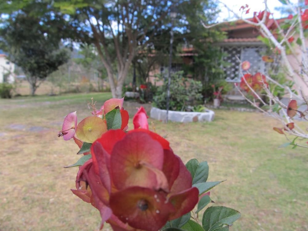 Casa Mirandita