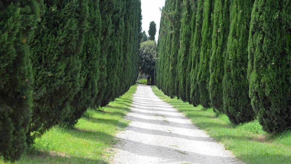 Casale Colleoni, photo 21