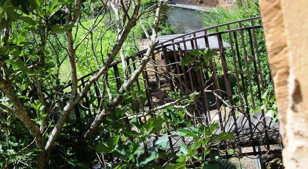 Les Songes de l'Abbaye