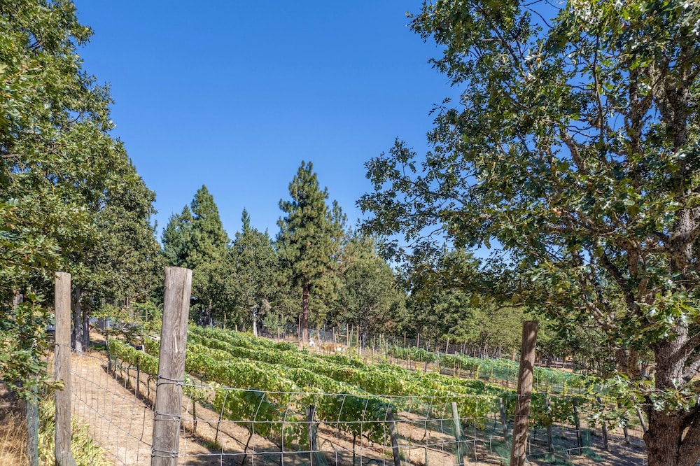 Happenstance Vineyards 2 Bedroom Home