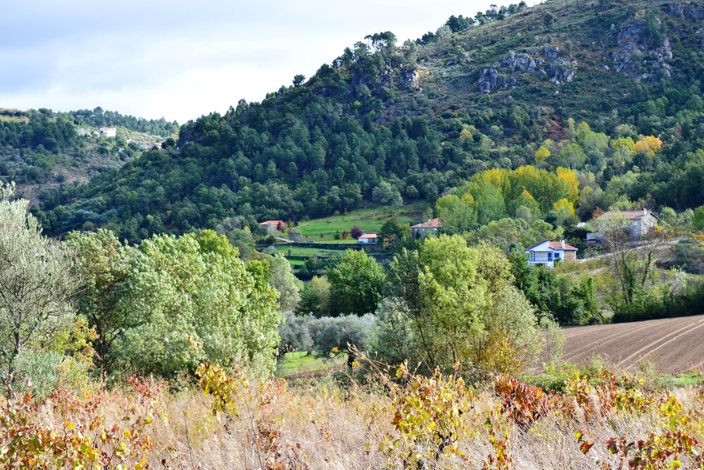 Photo 43
