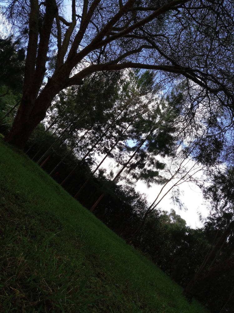 Photo 29