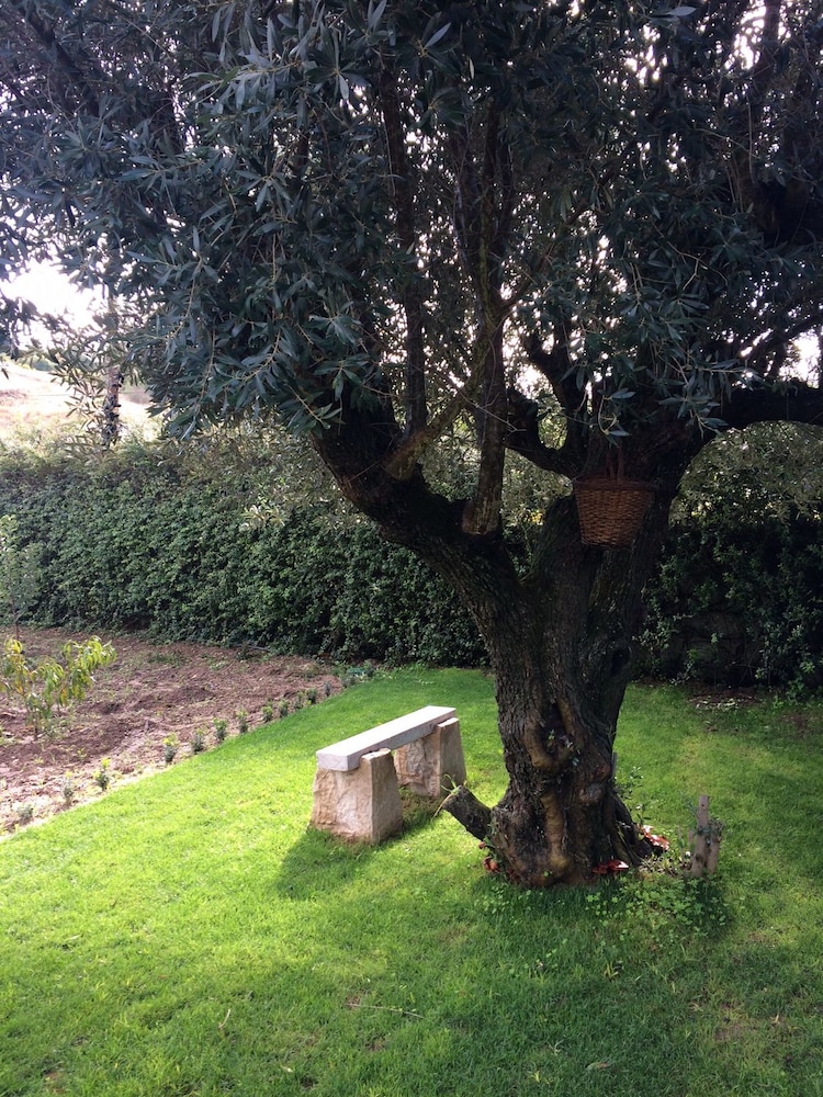 Quinta Ribeira do Labrador - Lisbon West Wine Route view 5