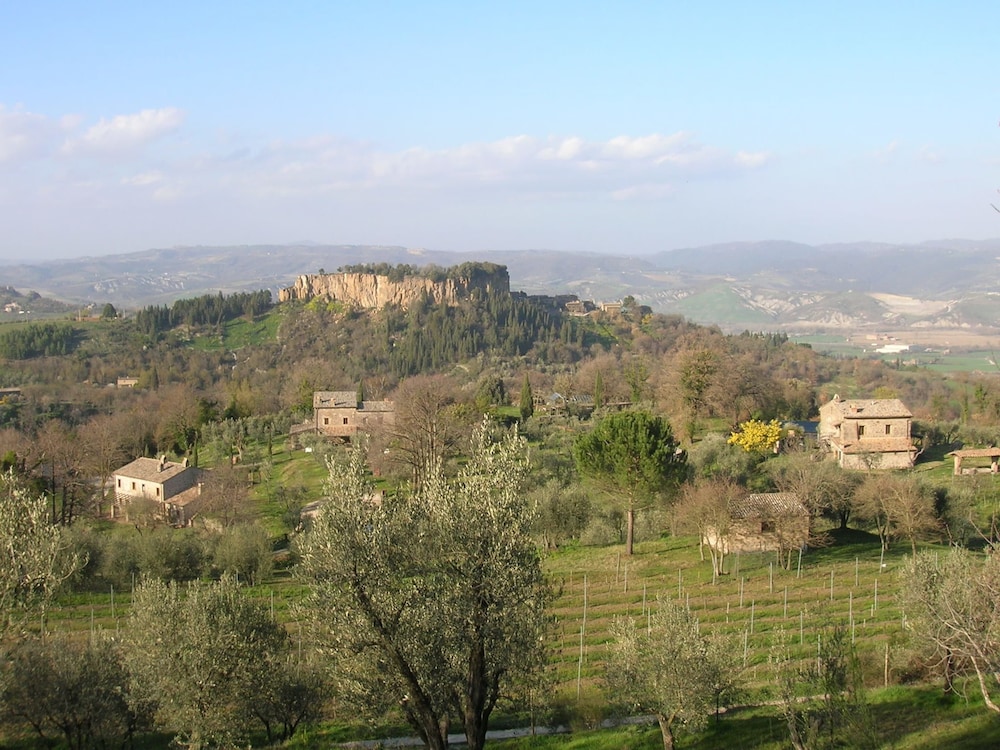 Photo 40