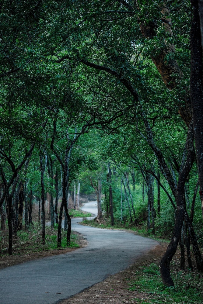 Nature Tones By BRDGE HOSPITALITY