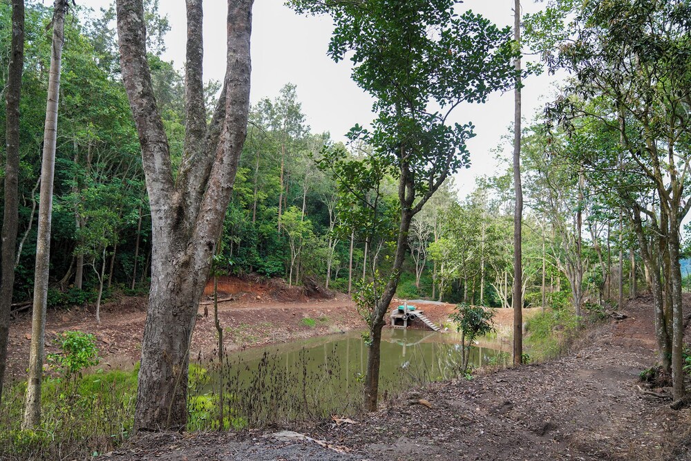 BlueHill Lotus Holistic Wellness Village