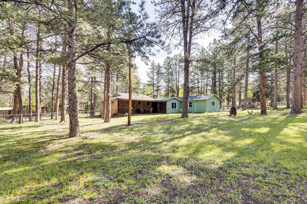 1 Mi to Town: Woodland Park Home w/ Yard!