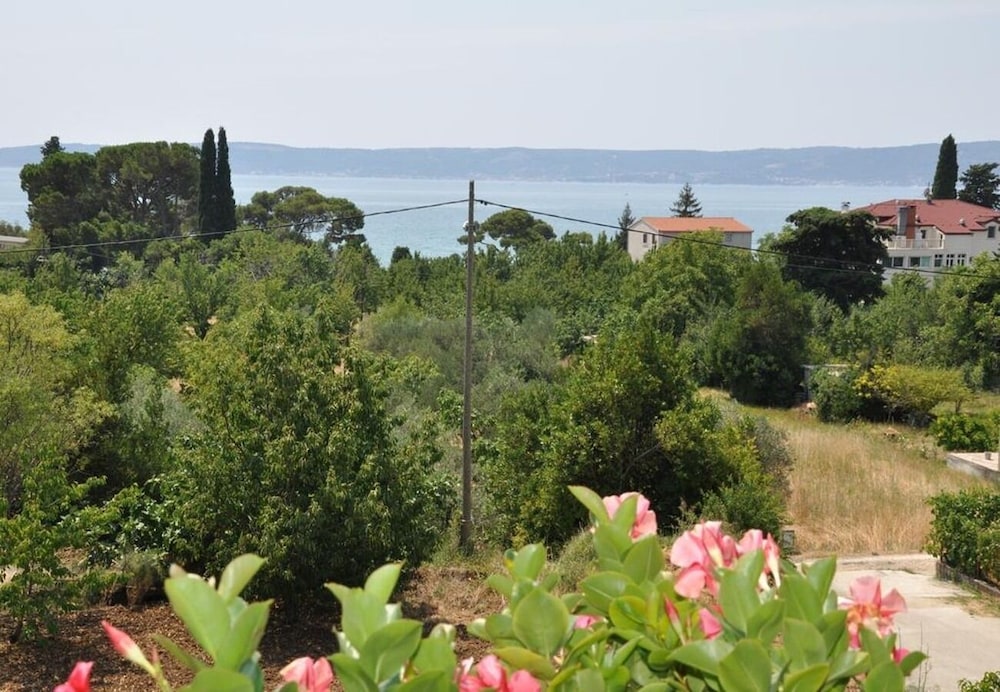 Milica - Parking and Garden - A1 view 4