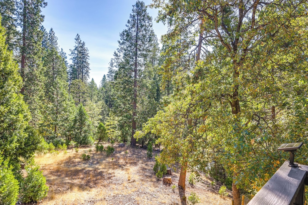 Forest-view Retreat: Grill & Fireplace in Sonora