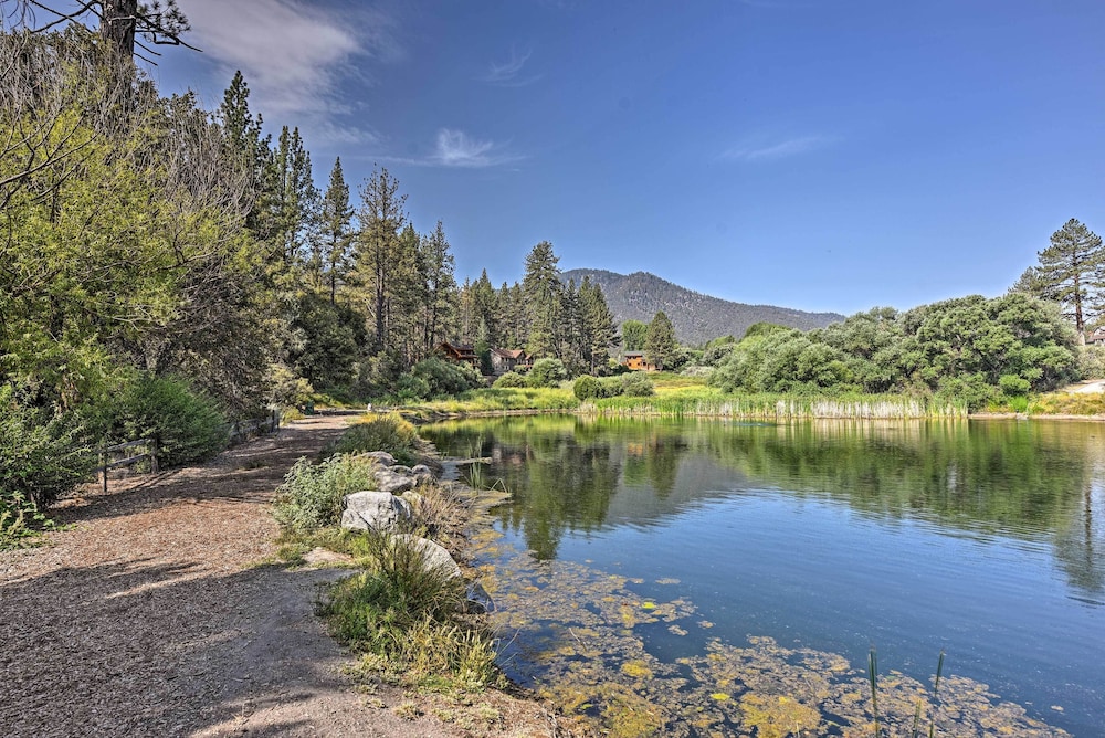 Walk to Village: Cozy Cabin in Pine Mountain Club!