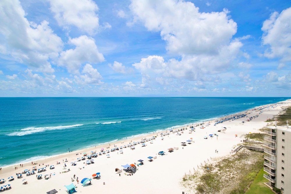 Tradewinds 1305
