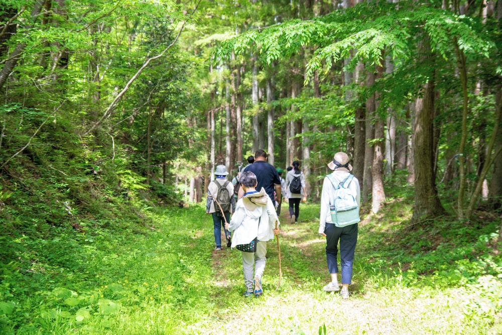 Minamisanriku Hotel Kanyo