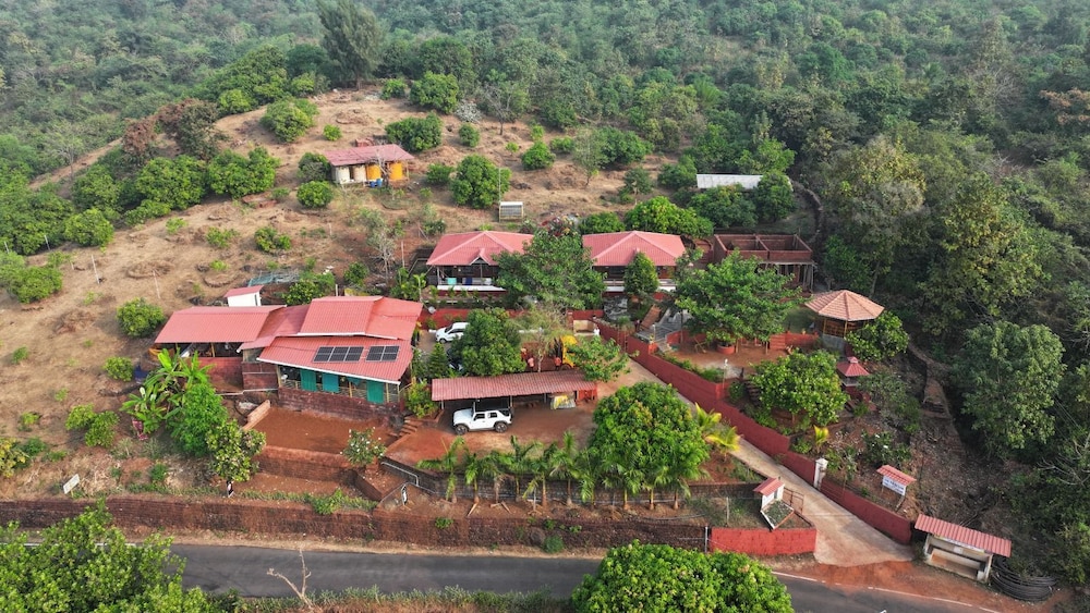 The Alphonso Mango County