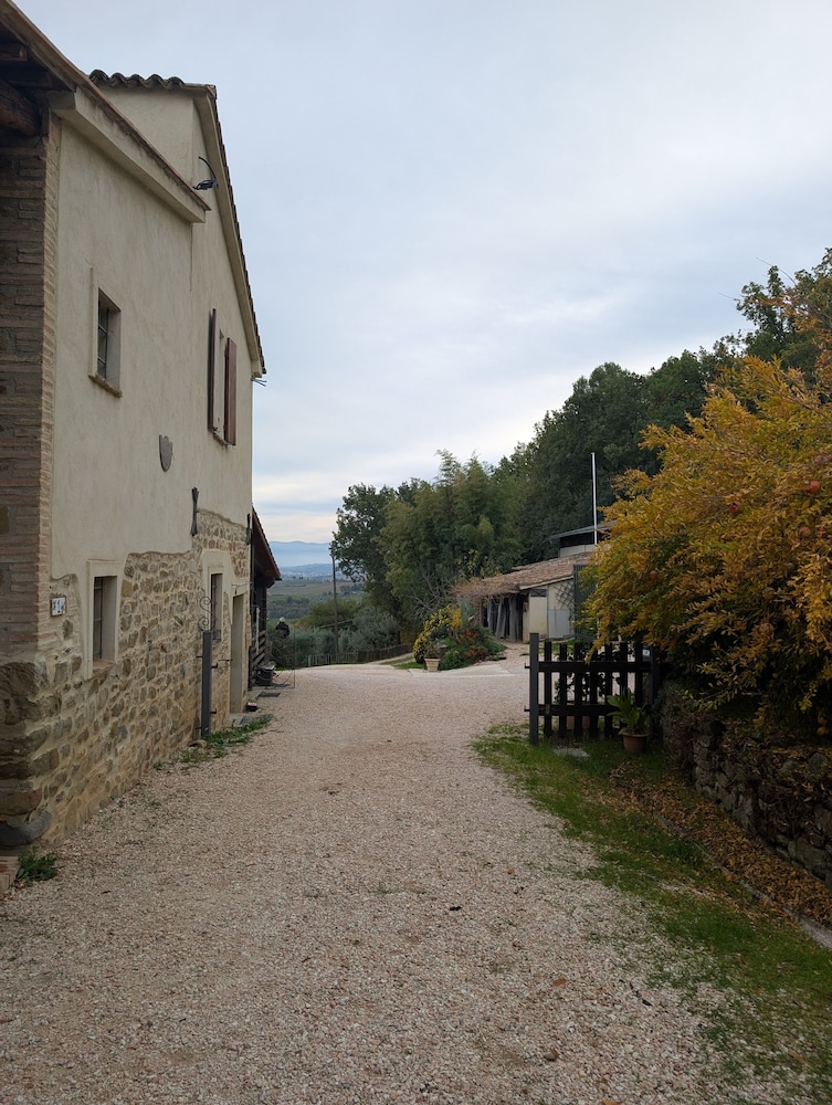 Uliveto Magico