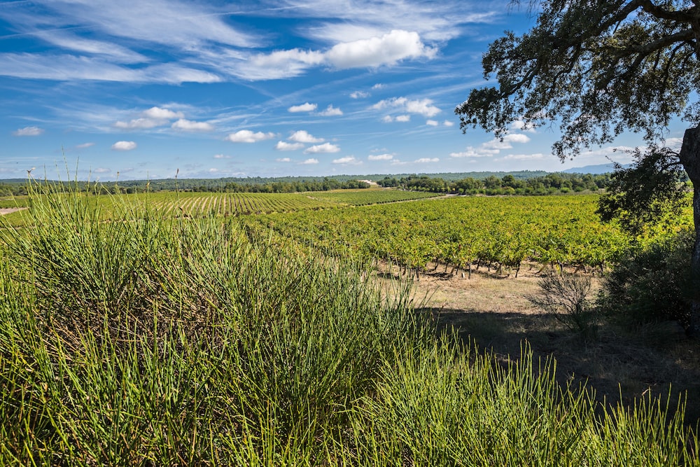 Les Terres de Saint Hilaire