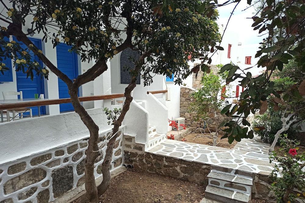 Photo 8