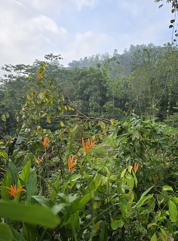 Nildiya Cottages