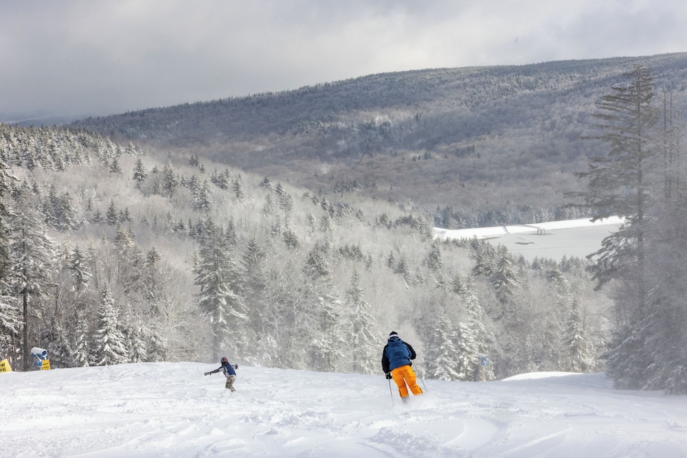 The Inn at Snowshoe