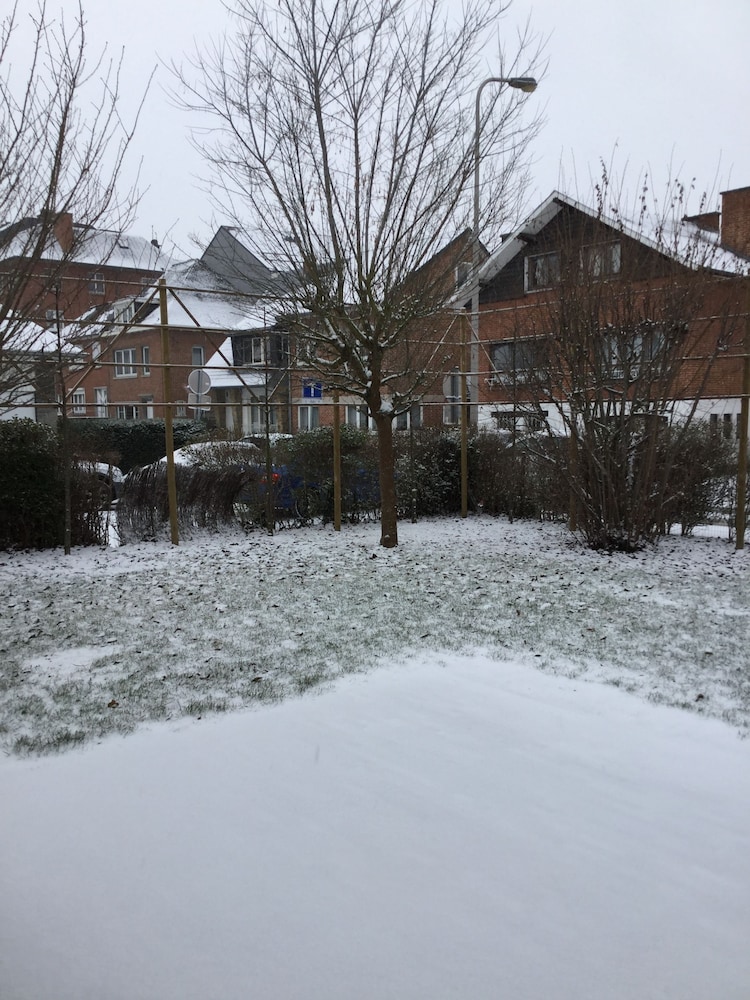 Photo 41
