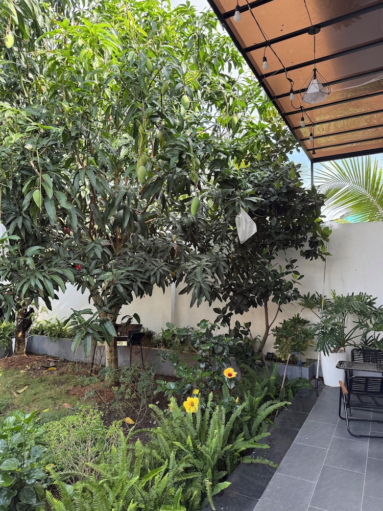 HOMESTAY HALONA