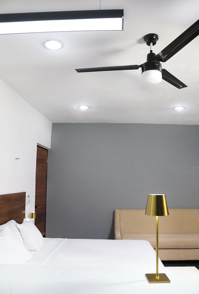 Apartamentos 31