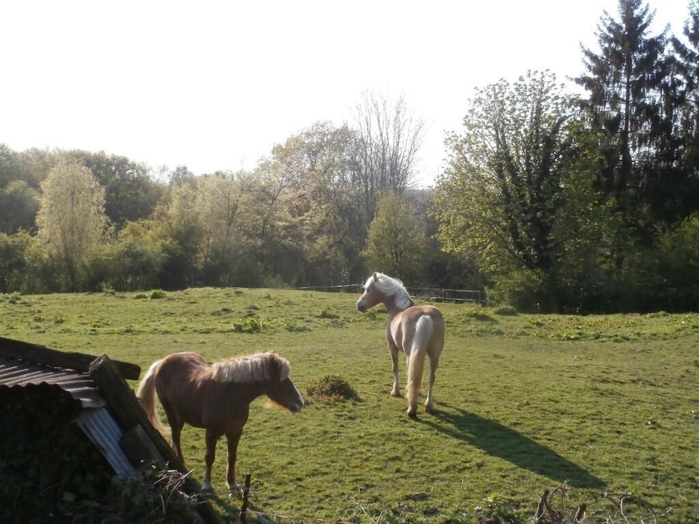 Photo 26