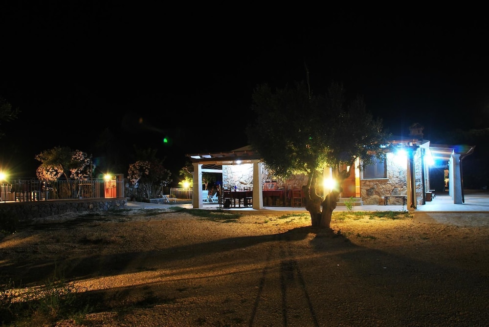 Photo 38