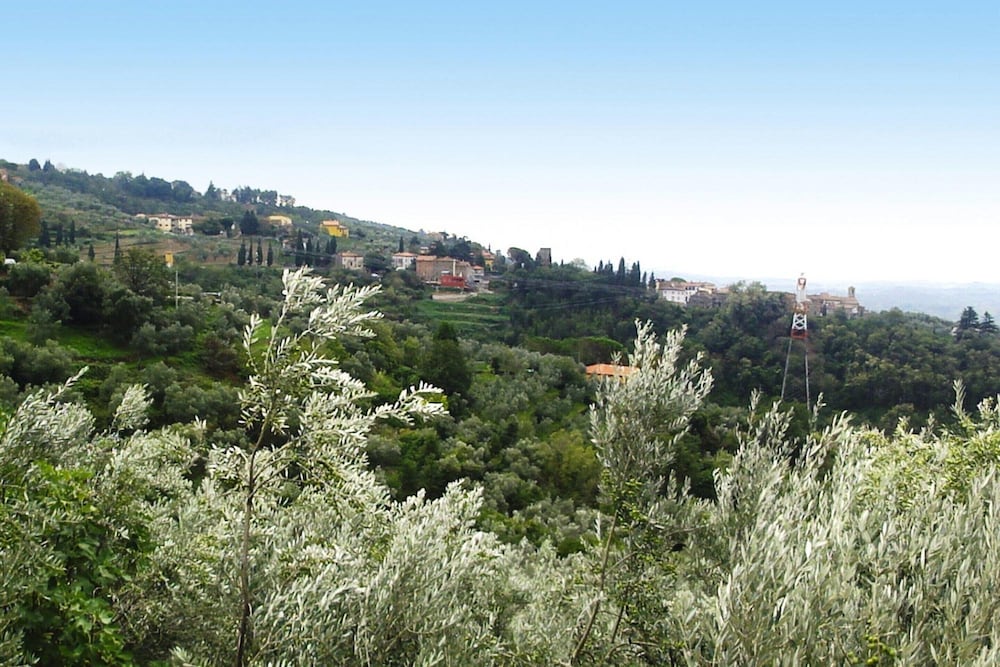 Villa in Tuscany With Vineyard Views